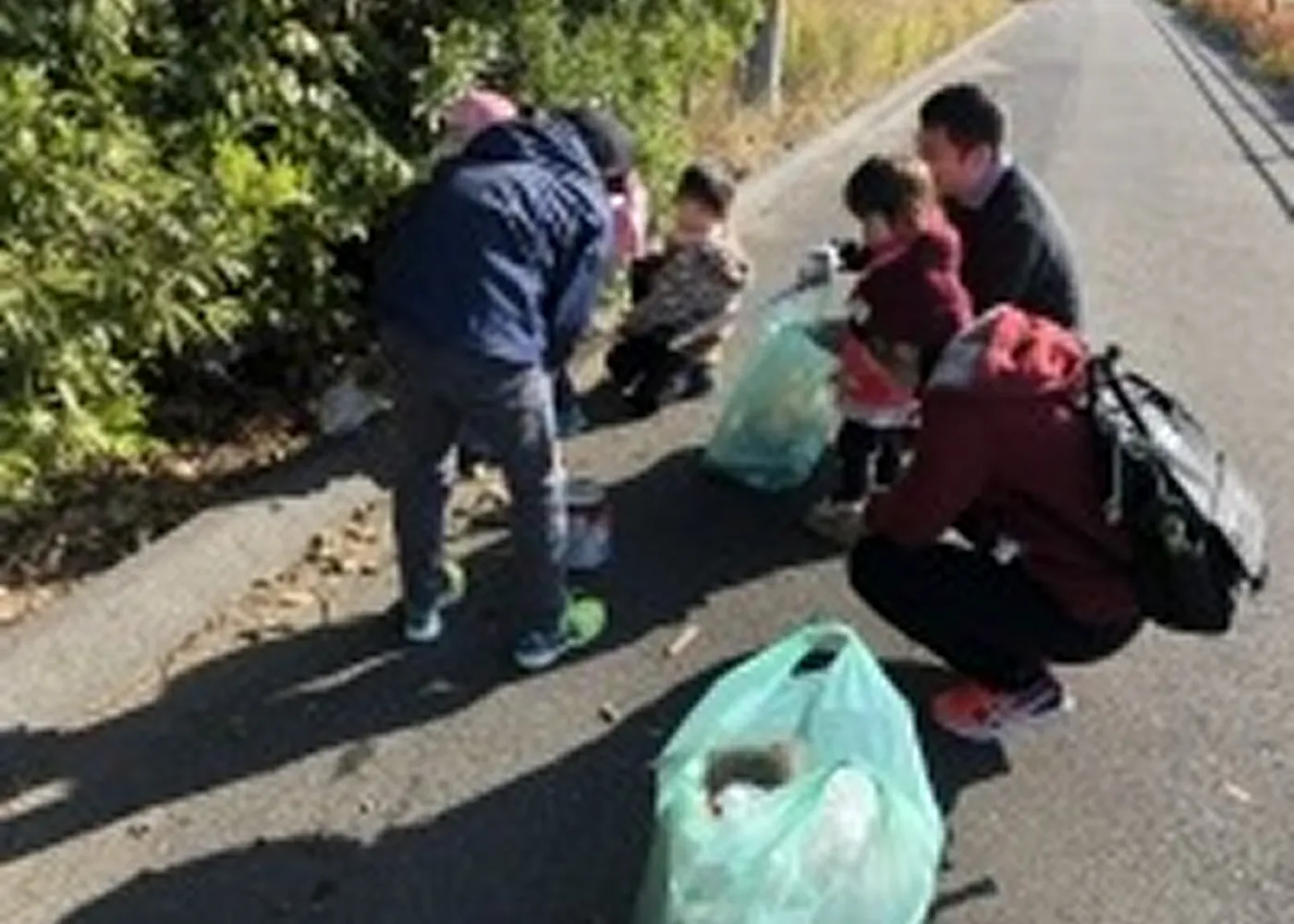 クリーンアップ活動